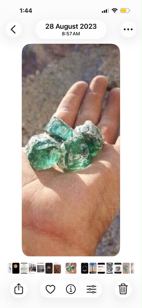 Blue-green tourmaline crystals resting in a hand at the mine